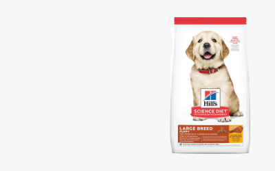 Pets Needs Extra Love