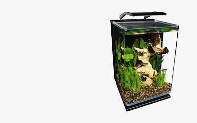 Fresh Waters, Fishers' Delight