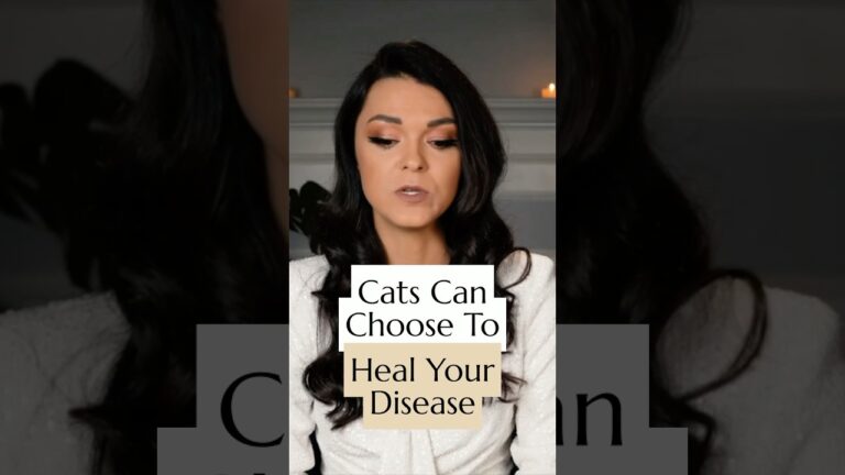 Cats Can Choose to Heal Your Disease 🐱