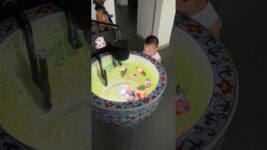 Ancient fish-keeping methods used water tanks like this.#goldfishtank #goldfish #fish