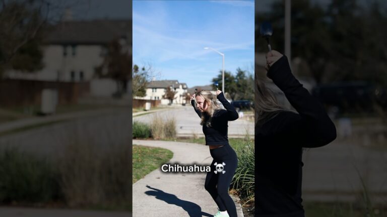 Meeting dog breeds on the street is like… 😅 #dog #puppy #aussie