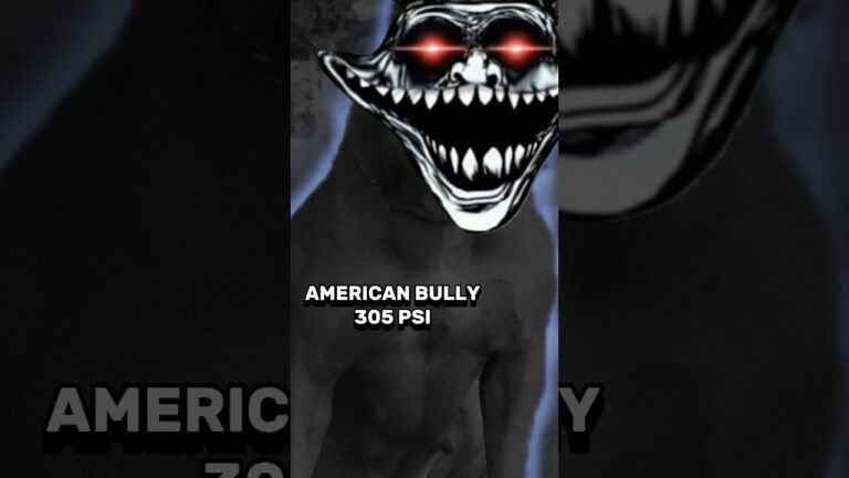 PITBULL VS DOG BREEDS, (BITE FORCE COMPARISON)#animals #edit #shortsvideo #dog #shorts