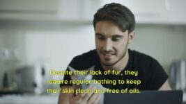 Cat Breeds: A World of Feline Diversity