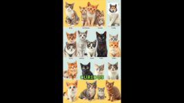 From Bengal to Siamese: Top 10 Fascinating Cat Breeds