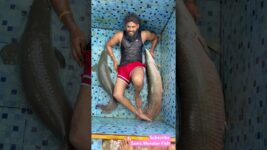 Arapaima 🐟 fishing worlds Largest Monster freshwater fish in India 🇮🇳 #arapaima #fishing #shorts