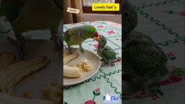 Favorite 💐 Food 🦜 #parrot #Healthy #Pets #nature #shorts #BestVibes