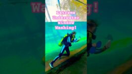 When Your Window Washer Is a Scuba Diver