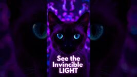 Can cats see things you CAN’T? (Scientifically Proven) 🙀🐾#catfacts