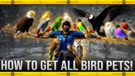 Crimson Desert – How To Get ALL 20+ BIRD Pets / The Ultimate Guide On Bird Pets