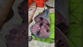 Hug Bluefin Tuna Cutting Skills #Amazing Fish Cutting #ShortsVideo