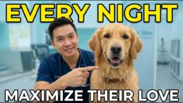 The 2-Minute Night Routine That Changes Your Dog’s Behavior