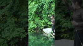 Day Catching a Rare Sturgeon on the Lake #fishing #rural #fish #shortvideo #shorts #reels #lifestyle