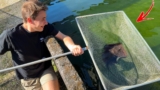 I FOUND A SECRET FISH FARM  !