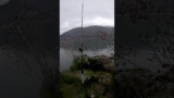 Sturgeon opening day. #fishing #outdoors #fish #Sturgeon #columbiariver #shorts