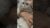 The Most Kitten of Kittens that has ever Kittened